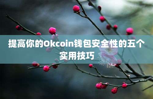 提高你的Okcoin钱包安全性的五个实用技巧