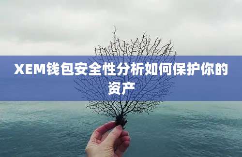 XEM钱包安全性分析如何保护你的资产