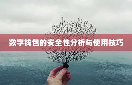 数字钱包的安全性分析与使用技巧