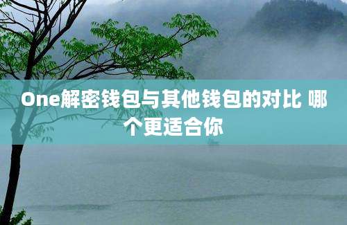 One解密钱包与其他钱包的对比 哪个更适合你