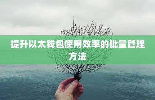 提升以太钱包使用效率的批量管理方法