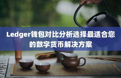 Ledger钱包对比分析选择最适合您的数字货币解决方案