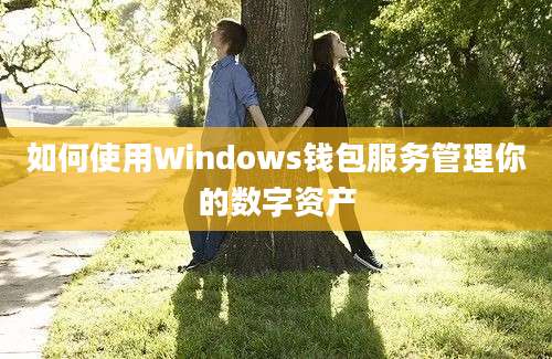 如何使用Windows钱包服务管理你的数字资产