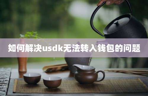 如何解决usdk无法转入钱包的问题