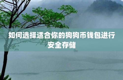 如何选择适合你的狗狗币钱包进行安全存储