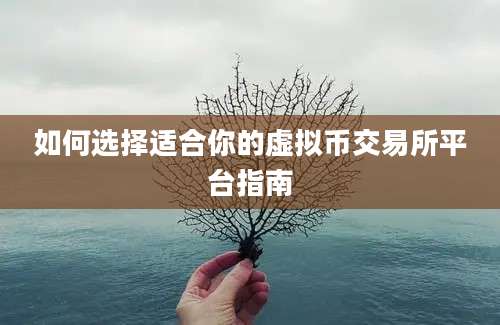 如何选择适合你的虚拟币交易所平台指南