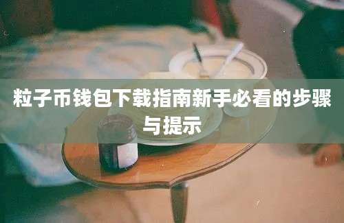 粒子币钱包下载指南新手必看的步骤与提示