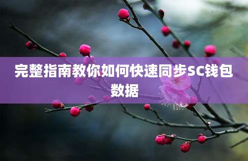 完整指南教你如何快速同步SC钱包数据