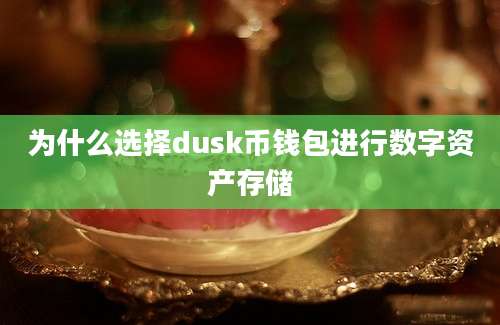 为什么选择dusk币钱包进行数字资产存储