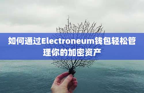 如何通过Electroneum钱包轻松管理你的加密资产